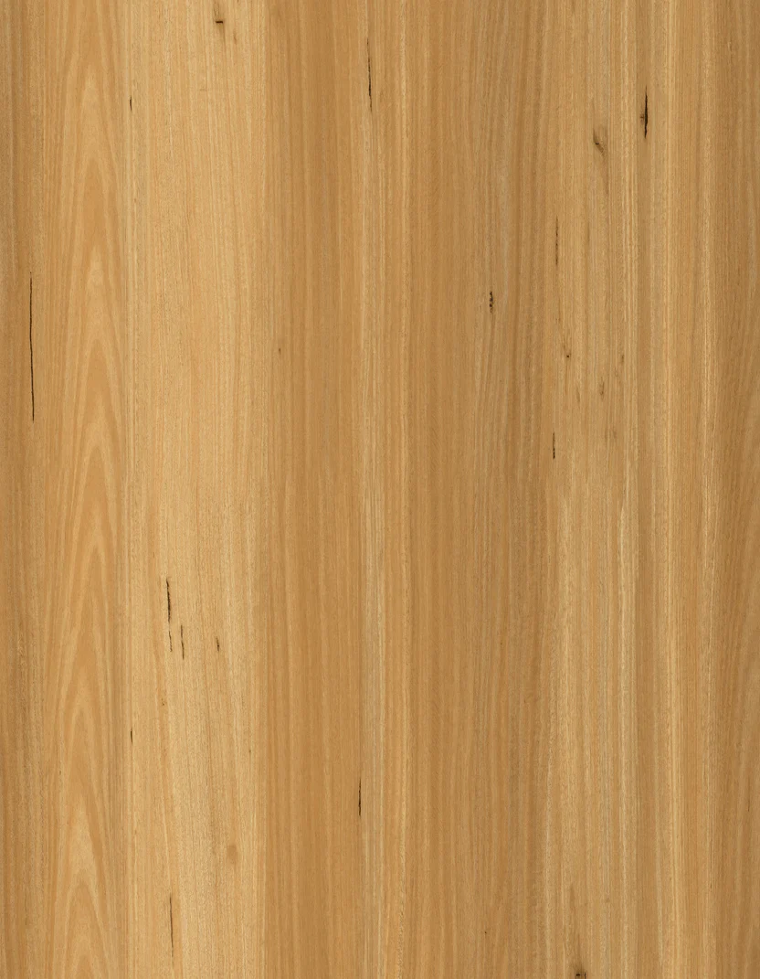 Blackbutt – 7.5mm SPC Hybrid Flooring (1.4m² per Box)